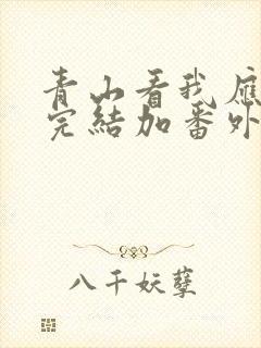 青山看我应如是完结加番外txt