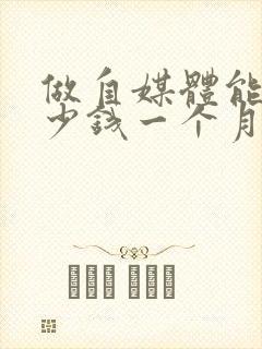 做自媒体能挣多少钱一个月