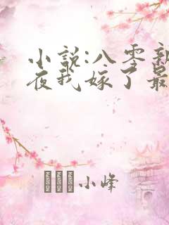 小说:八零新婚夜我嫁了最猛糙汉