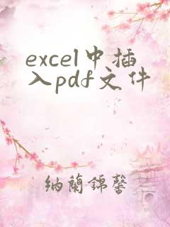 excel中插入pdf文件