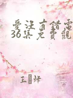 爱没有错电视剧36集免费观看剧情