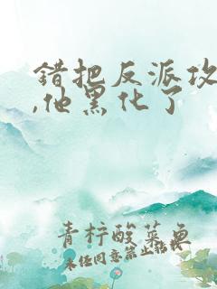 错把反派攻略后,他黑化了