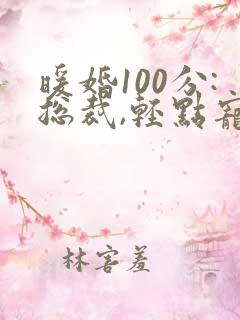 暖婚100分:总裁,轻点宠免费小说