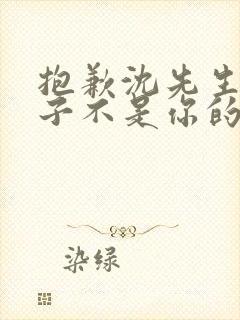 抱歉沈先生,孩子不是你的短剧全集免费