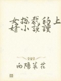 女总裁的上门女婿小说读