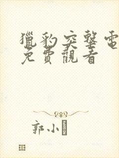 猎豹突击电视剧免费观看