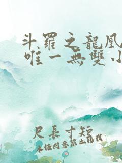 斗罗之龙凰传说 唯一无双小说