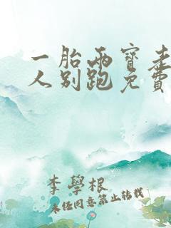 一胎两宝老婆大人别跑免费阅读全文