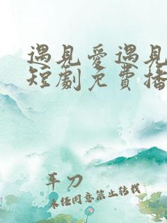 遇见爱遇见幸福短剧免费播放