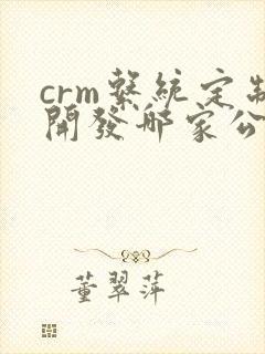 crm系统定制开发哪家公司强