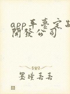 app平台定制开发公司