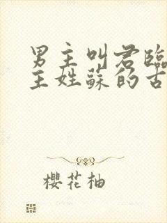 男主叫君临渊女主姓苏的古言小说