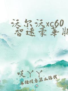 沃尔沃xc60 智远豪华版