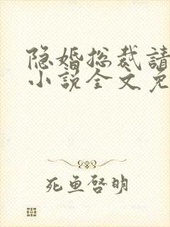 隐婚总裁请签字小说全文免费阅读