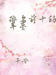 排名前十的借款平台