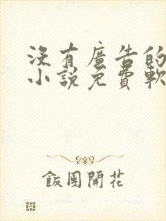 没有广告的有声小说免费软件