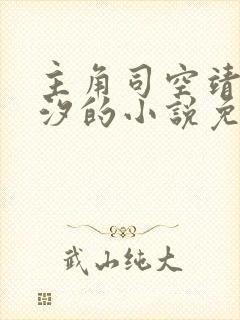 主角司空靖苏月汐的小说免费阅读