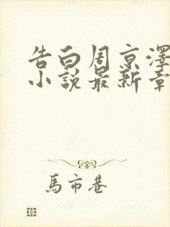 告白周京泽许随小说最新章节在线