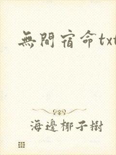 无间宿命txt