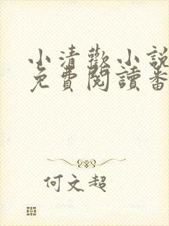 小清欢小说全文免费阅读番外篇