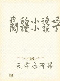 我的小后妈免费阅读小说下载