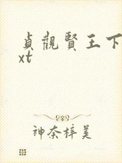 贞观贤王下载txt