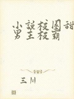 小说校园甜宠文男主校霸