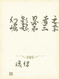 幻影忍者之神龙崛起第三季中文版