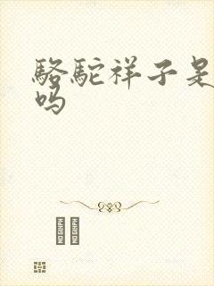 骆驼祥子是小说吗