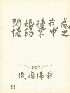 闪婚后我成了大佬的掌中之物 01