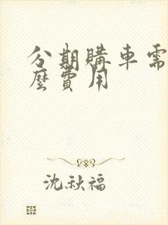 分期购车需要什么费用