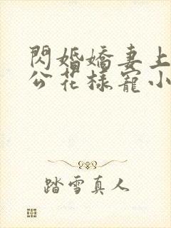 闪婚娇妻上司老公花样宠小说,免费阅读