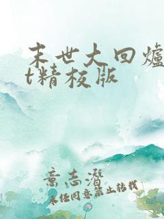 末世大回炉txt精校版