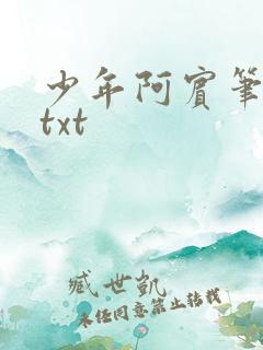 少年阿宾笔趣阁txt