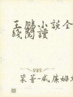 王鹏小说全集在线阅读