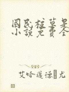 国民校草是女生小说免费全集