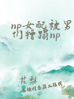 np女配被男主们糟蹋np