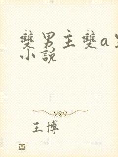 双男主双a生子小说