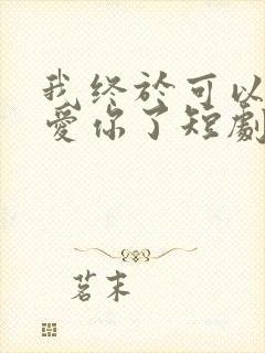 我终于可以不再爱你了短剧大结局