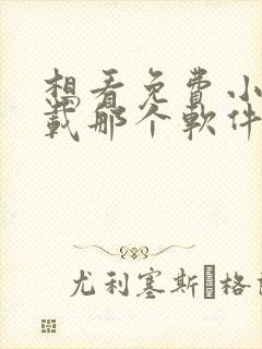 想看免费小说下载那个软件