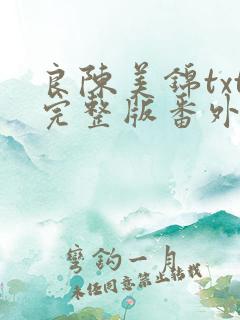 良陈美锦txt完整版番外