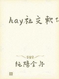 hay社交软件