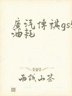 广汽传祺gs5油耗