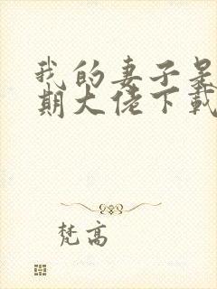 我的妻子是大乘期大佬下载