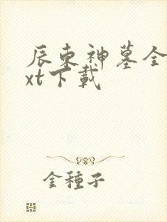 辰东神墓全本txt下载