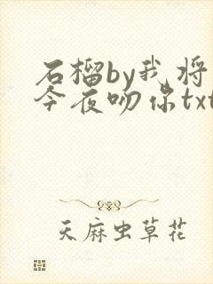 石榴by我将在今夜吻你txt