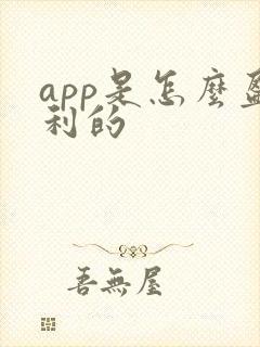 app是怎么盈利的