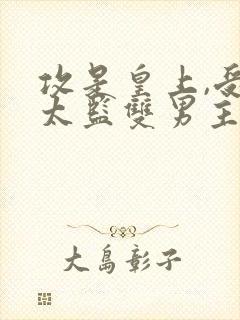 攻是皇上,受是太监双男主小说