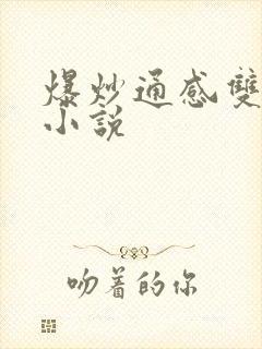 爆炒通感双胞胎小说