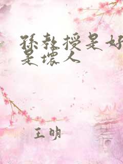 孙教授是好人还是坏人